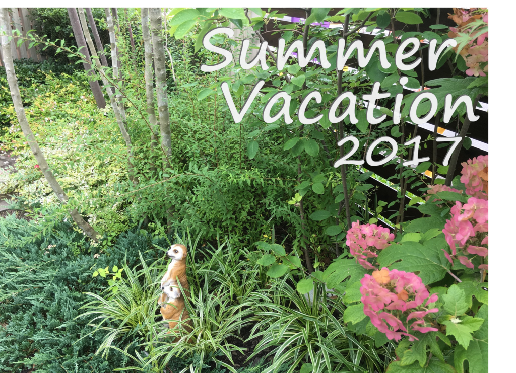 カシワバアジサイ