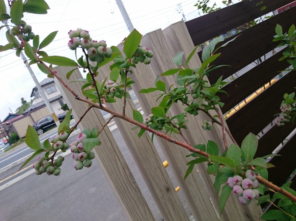 盗み食い。
