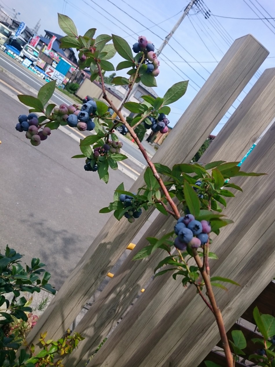 盗み食い。