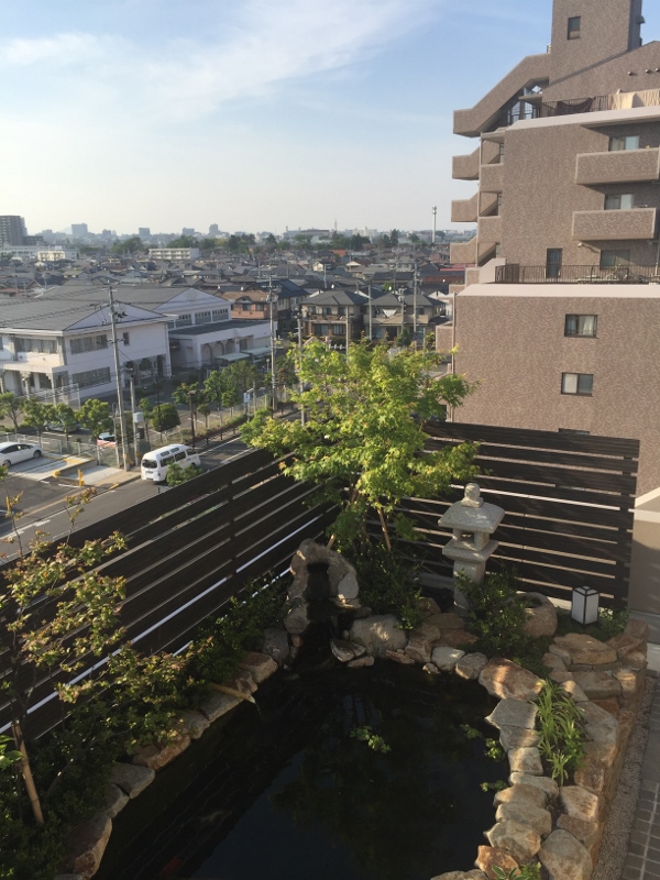 屋上庭園　池
