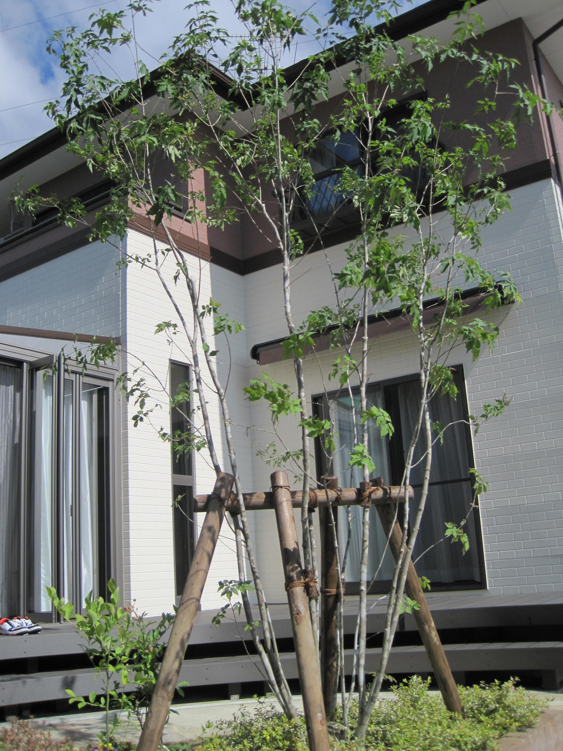 東松島市植栽工事　完成した様子