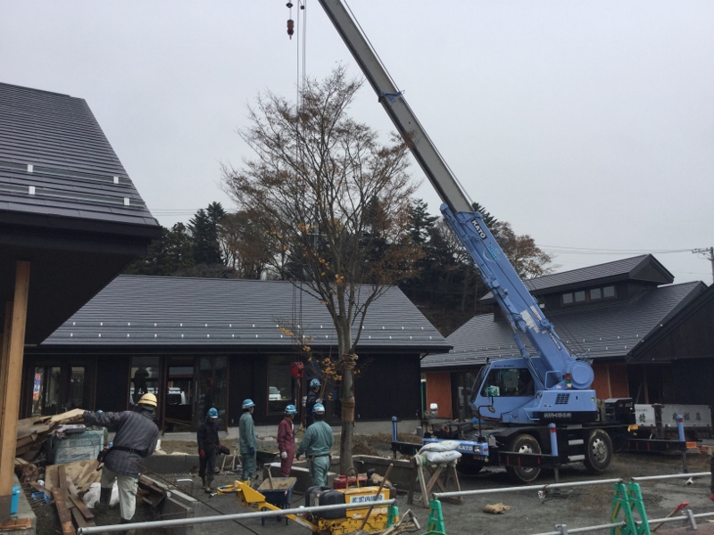 ヤマモミジ植栽工事