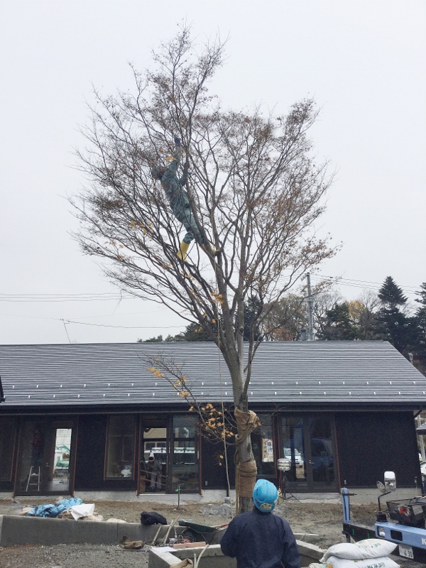 女川駅前より
