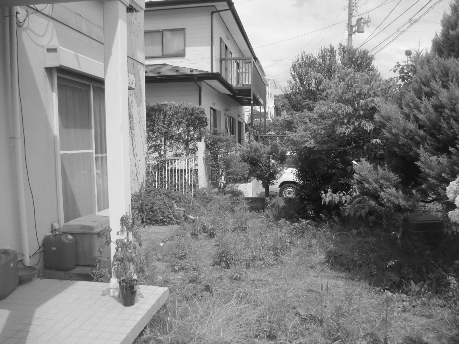 ビフォー写真