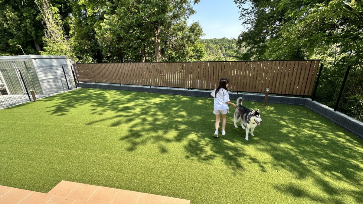 施工事例　愛犬が思いっきり駆け回る！人工芝ドッグラン＆モダン外構へ劇的リフォーム