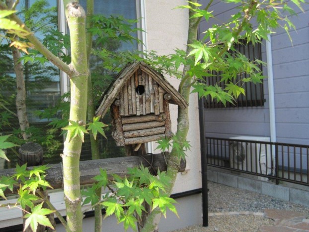 手作り巣箱が野鳥を迎える庭
