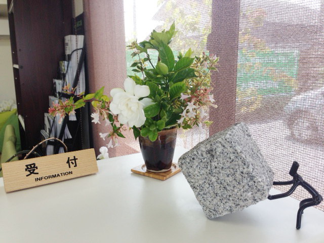 クチナシの花